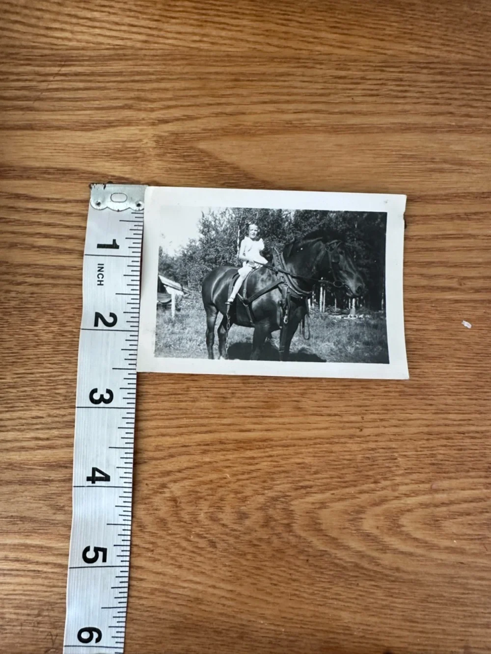 Vintage Photo of Girl on Horse C 1930 - Picture 3 of 5